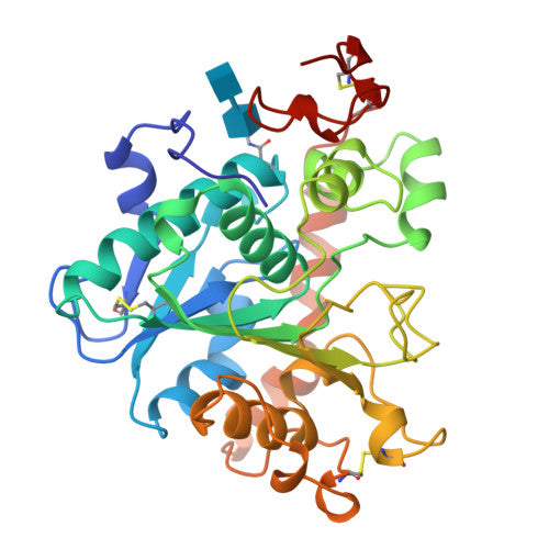 CalB lipase: PDB 1TCA biological assembly, experimental structure (RCSB PDB)