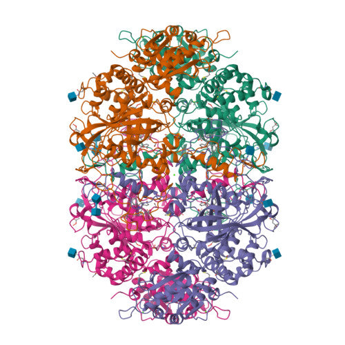 Catalase: PDB 2IUF biological assembly, experimental structure (RCSB PDB)