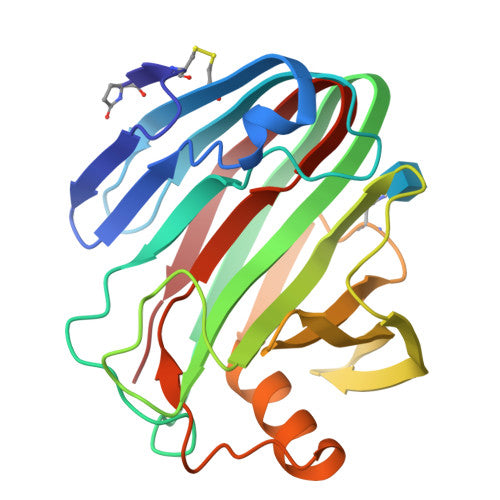 Enzyme blends: PDB 1H8V biological assembly, experimental structure (RCSB PDB)