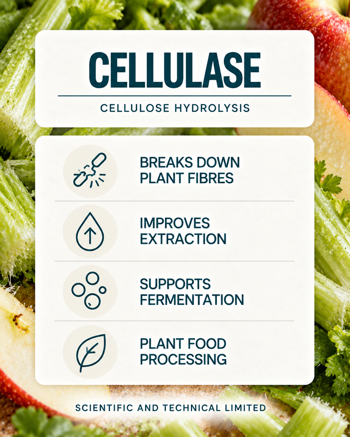 Cellulase product features