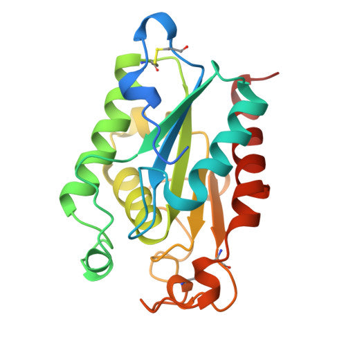 Cutinase: PDB 1CEX biological assembly, experimental structure (RCSB PDB)
