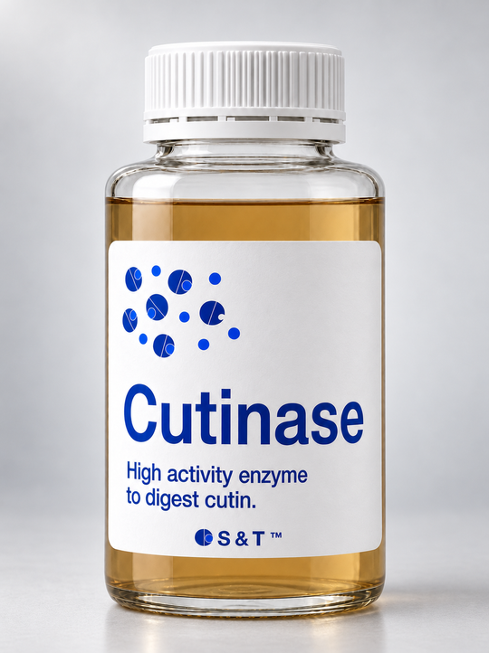 Cutinase