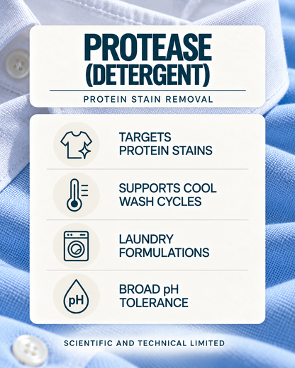 Protease (detergent) product features