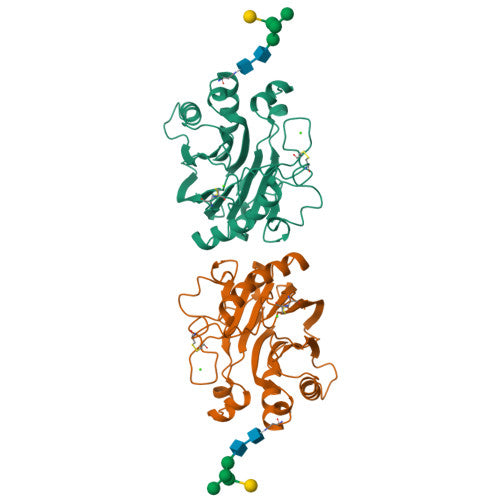 DNase: PDB 3DNI biological assembly, experimental structure (RCSB PDB)