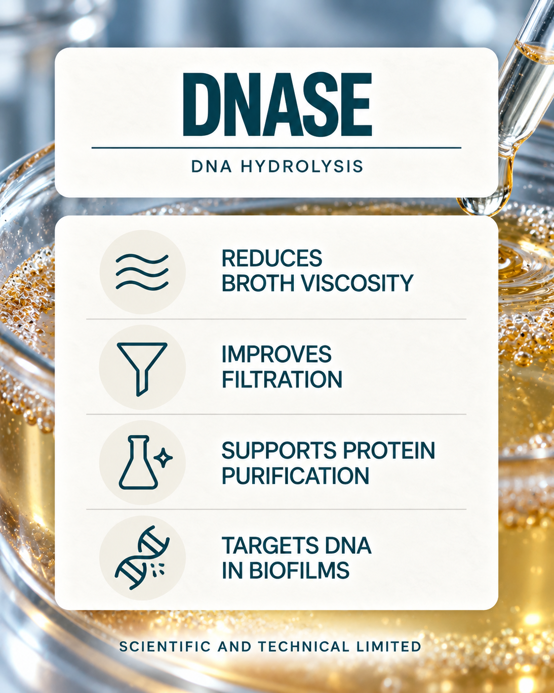 DNase product features
