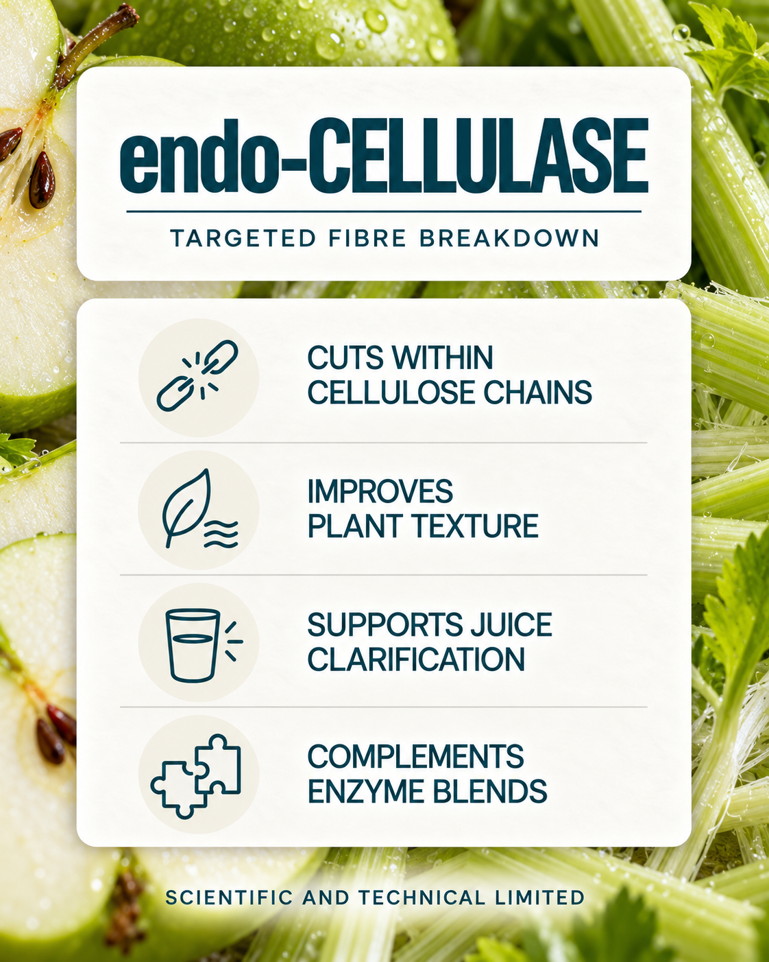 endo-Cellulase product features