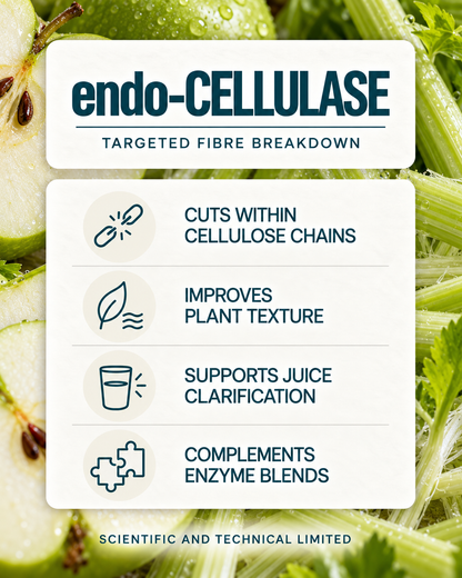 endo-Cellulase product features
