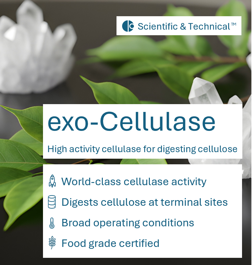 exo-Cellulase