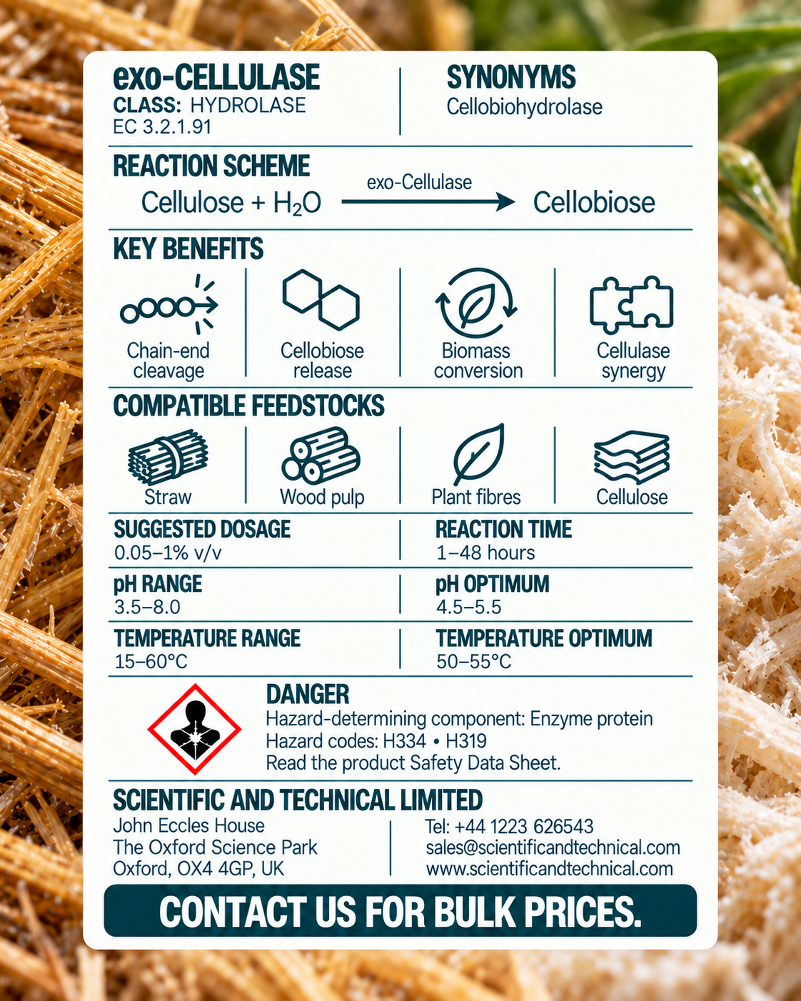 exo-Cellulase back card: reaction, benefits, dosage and safety