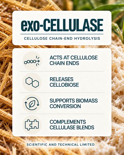 exo-Cellulase product features