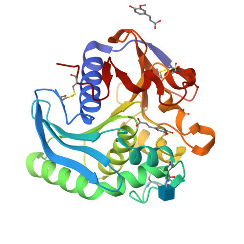Feruloyl esterase: PDB 1UWC biological assembly, experimental structure (RCSB PDB)
