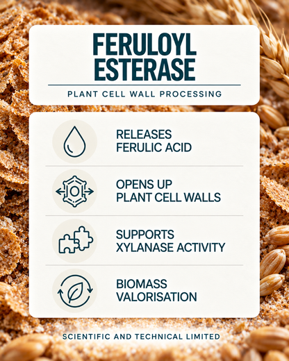 Feruloyl Esterase product features
