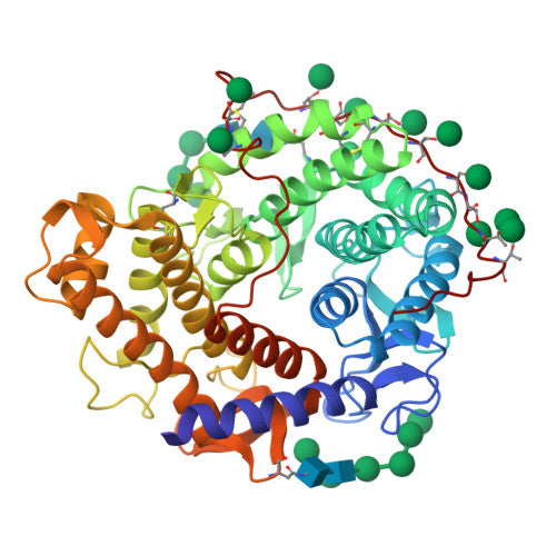 Glucoamylase: PDB 1GLM biological assembly, experimental structure (RCSB PDB)