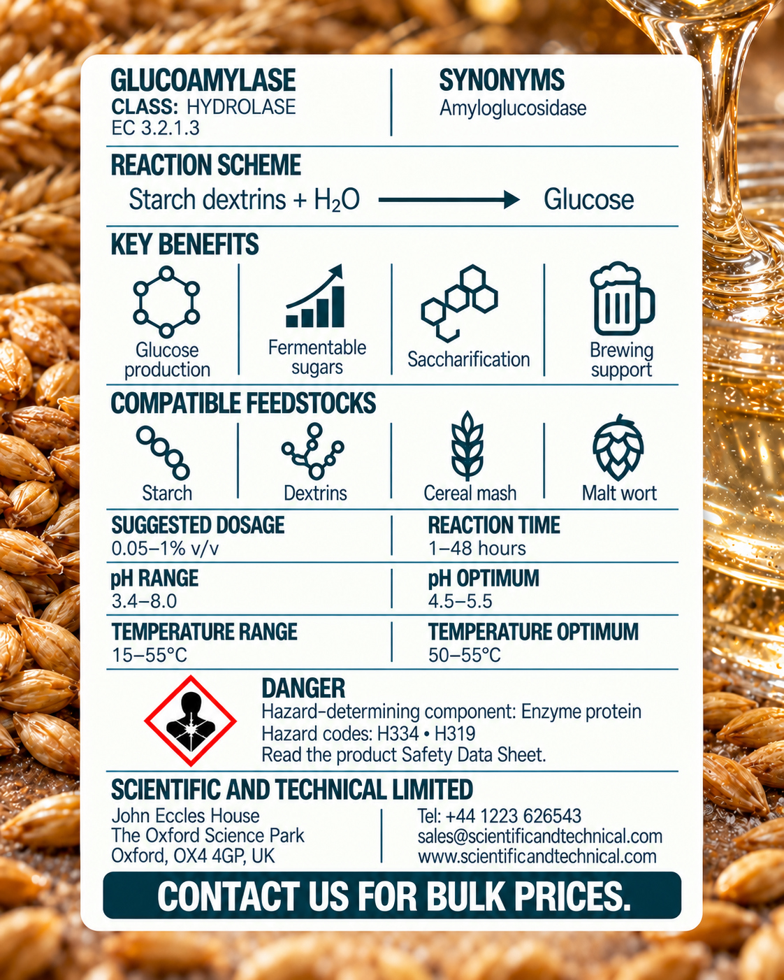 Glucoamylase back card: reaction, benefits, dosage and safety