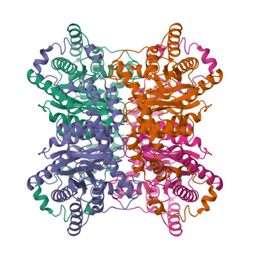 Glucose isomerase: PDB 1XYA biological assembly, experimental structure (RCSB PDB)