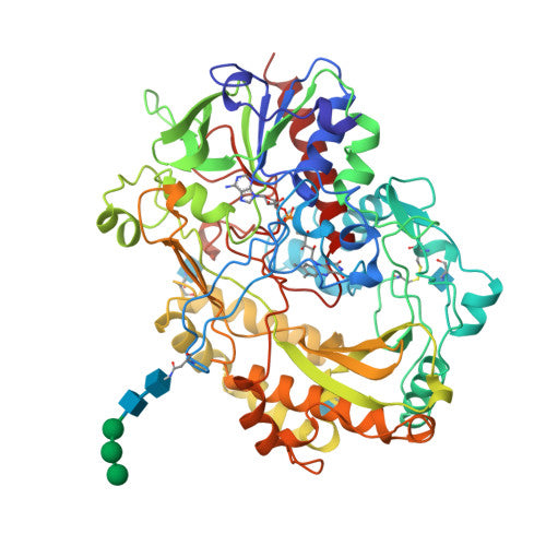 Glucose oxidase: PDB 1CF3 biological assembly, experimental structure (RCSB PDB)