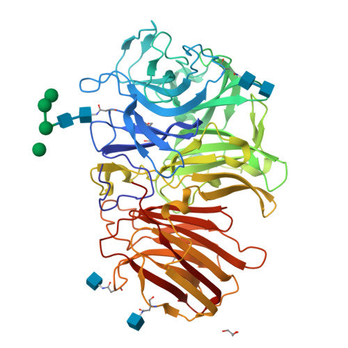 Inulinase: PDB 1Y9M biological assembly, experimental structure (RCSB PDB)