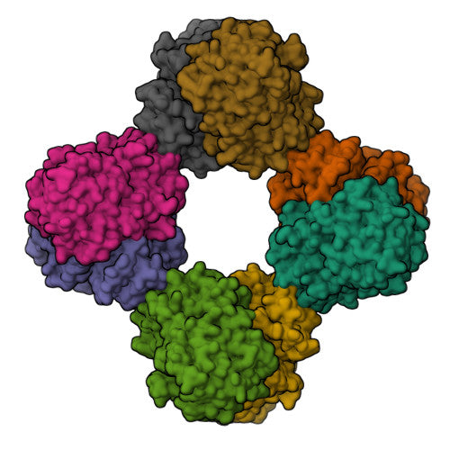 Invertase: PDB 4EQV biological assembly, experimental structure (RCSB PDB)