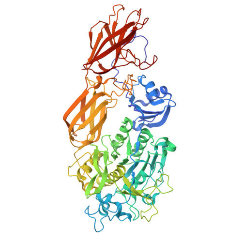 Keratinase: PDB 1R6V biological assembly, experimental structure (RCSB PDB)