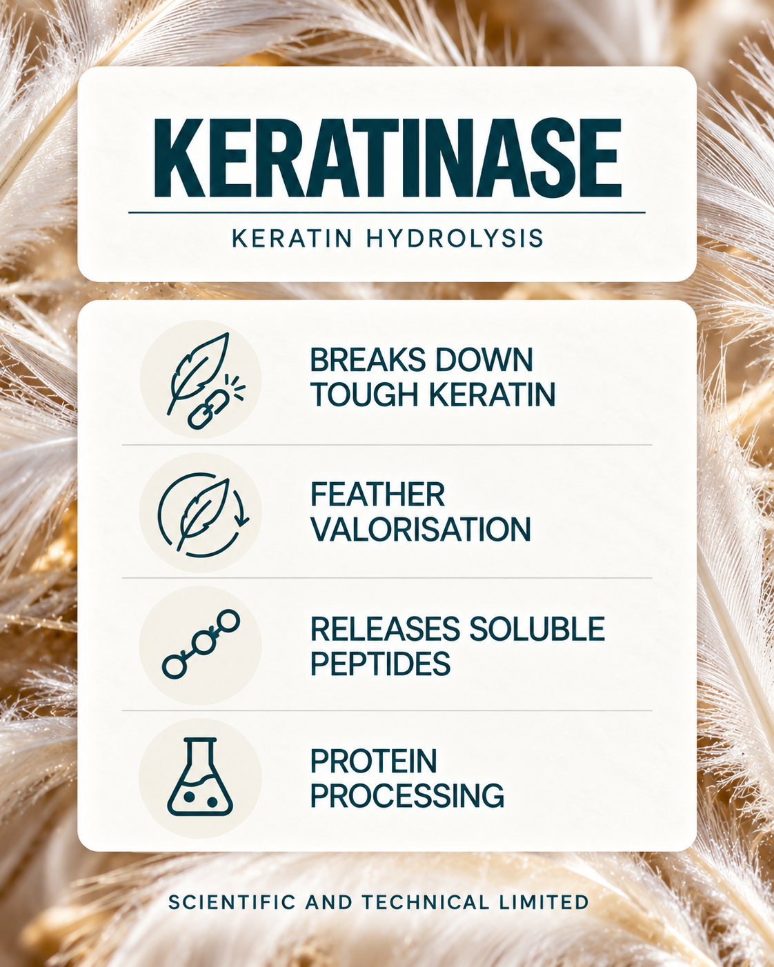 Keratinase product features