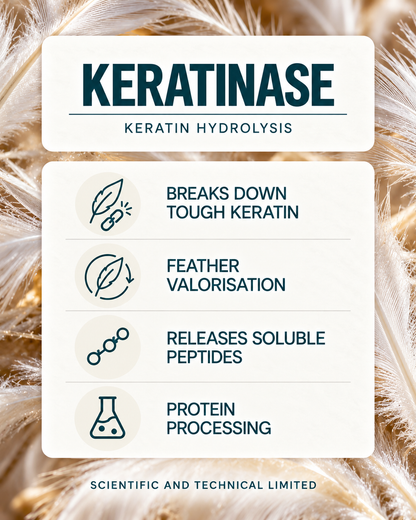 Keratinase product features
