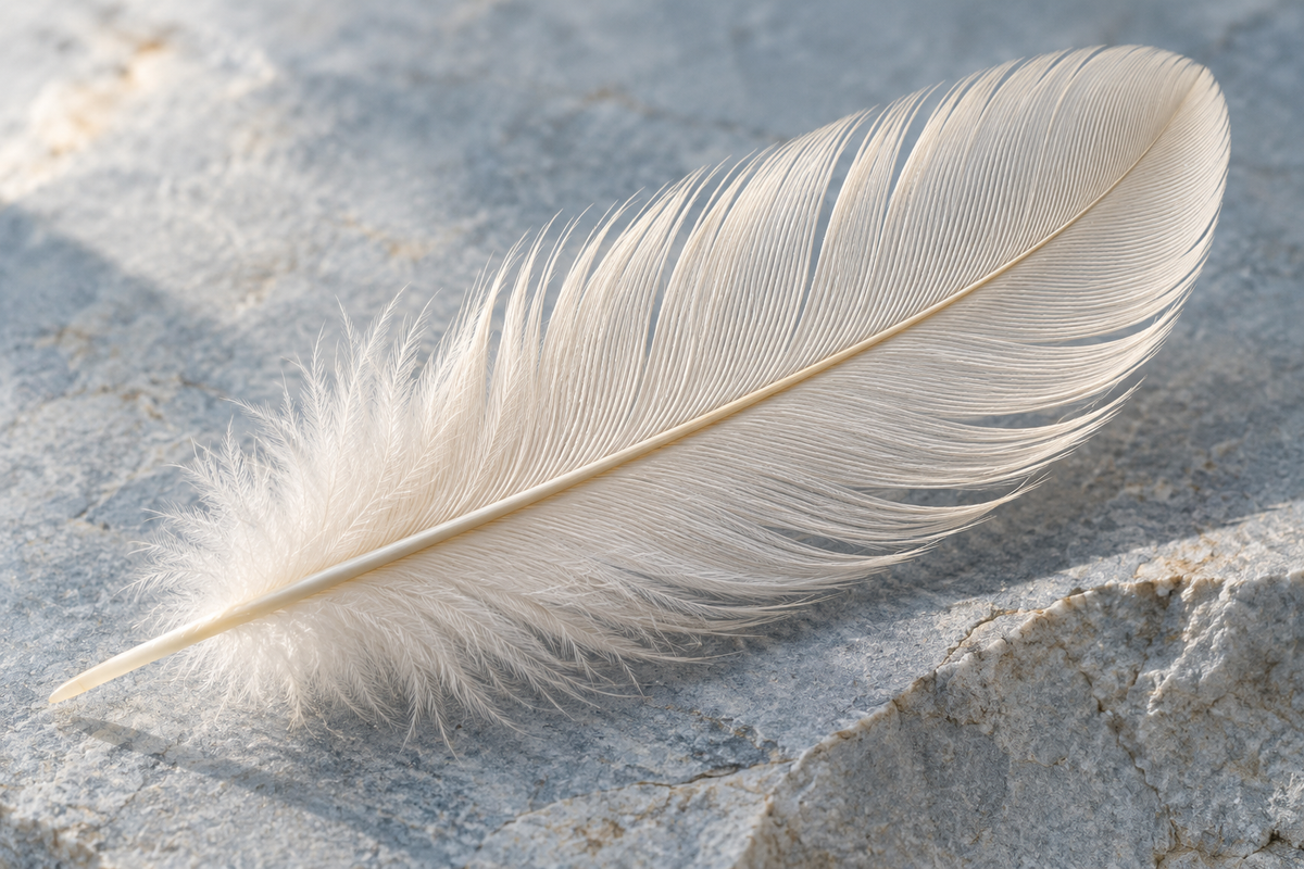 Keratinase for Feather Hydrolysis: Preparation and Process Checks