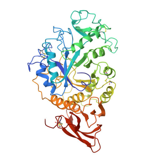 Koji enzymes: PDB 2TAA biological assembly, experimental structure (RCSB PDB)