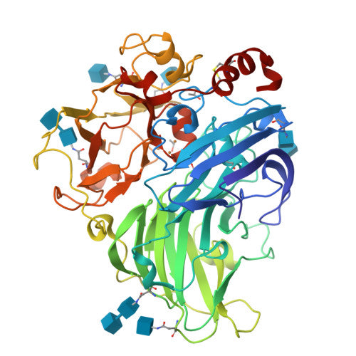 Laccase: PDB 1GYC biological assembly, experimental structure (RCSB PDB)