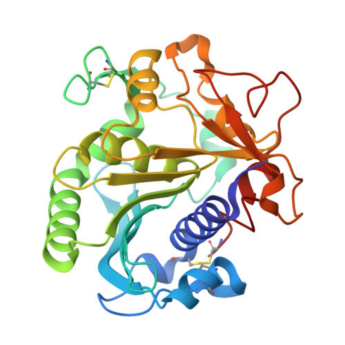 Lipase: PDB 1TIB biological assembly, experimental structure (RCSB PDB)