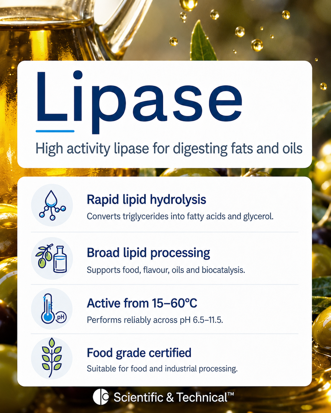 Lipase product features and specifications