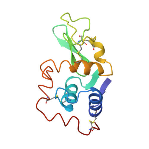 Lysozyme: PDB 1LYZ biological assembly, experimental structure (RCSB PDB)