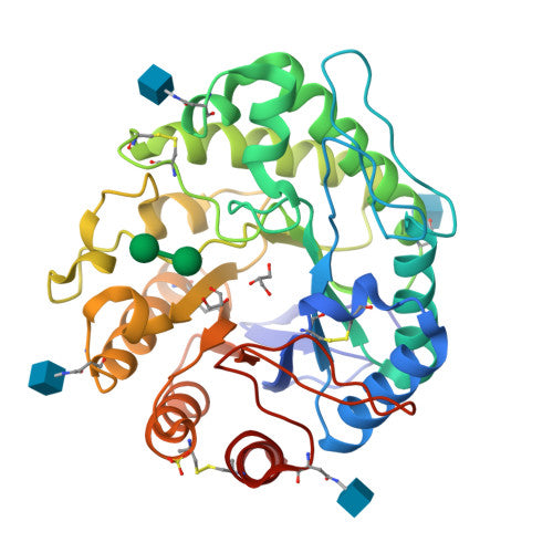 Mannanase: PDB 1QNR biological assembly, experimental structure (RCSB PDB)