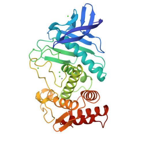 Neutral protease: PDB 1NPC biological assembly, experimental structure (RCSB PDB)
