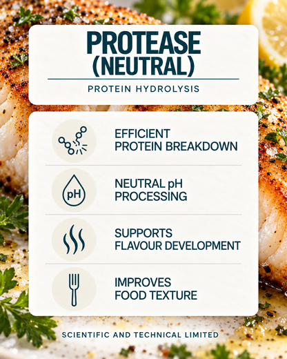 Protease (neutral) product features