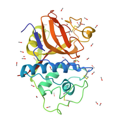 Papain: PDB 9PAP biological assembly, experimental structure (RCSB PDB)