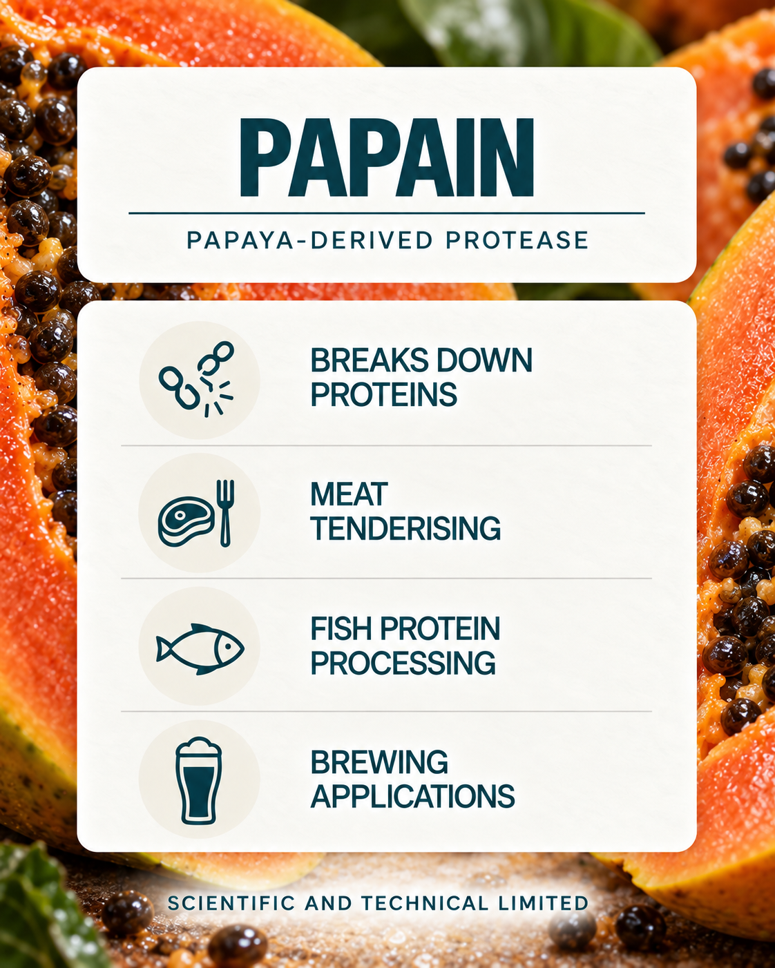 Papain product features