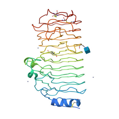 Pectinase: PDB 1CZF biological assembly, experimental structure (RCSB PDB)
