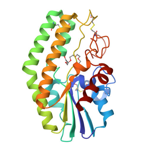 Phospholipase: PDB 4HYQ biological assembly, experimental structure (RCSB PDB)