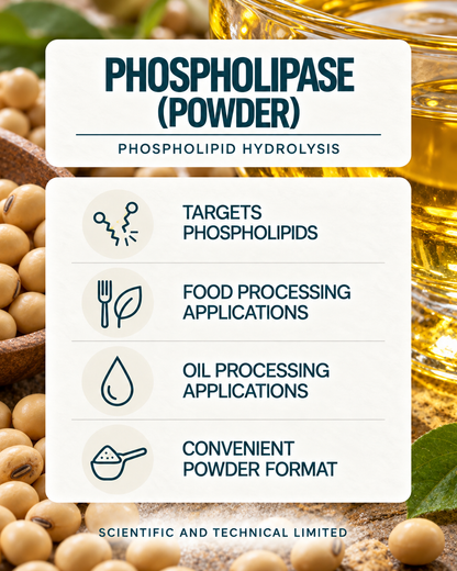 Phospholipase (powder) product features