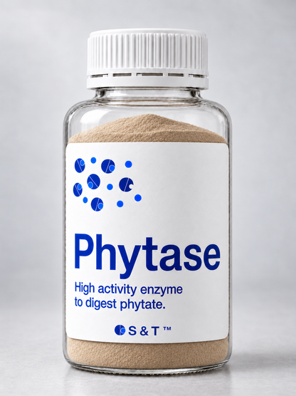 Phytase enzyme bottle