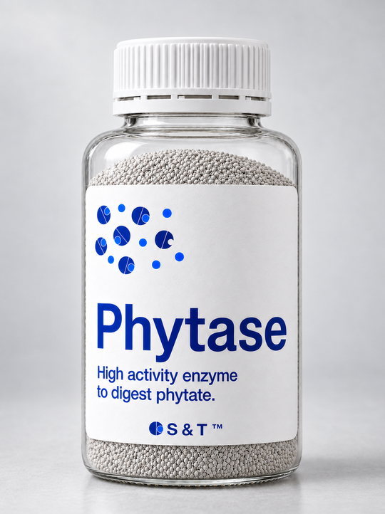 Phytase