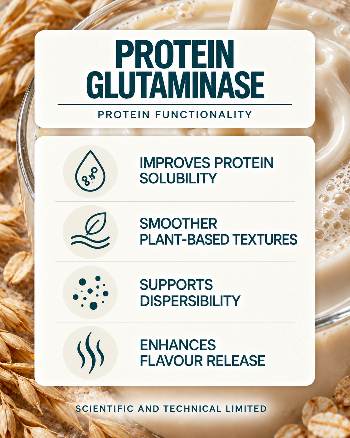 Protein Glutaminase product features