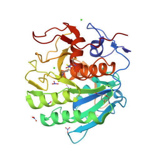 Proteinase K: PDB 1IC6 biological assembly, experimental structure (RCSB PDB)