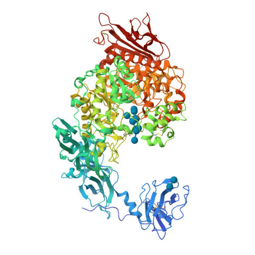 Pullulanase: PDB 2FHF biological assembly, experimental structure (RCSB PDB)