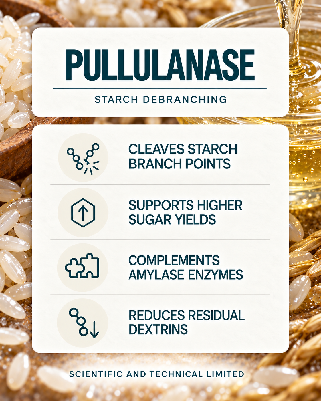 Pullulanase product features
