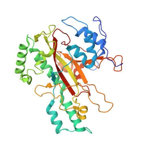 Transglutaminase: PDB 1IU4 biological assembly, experimental structure (RCSB PDB)