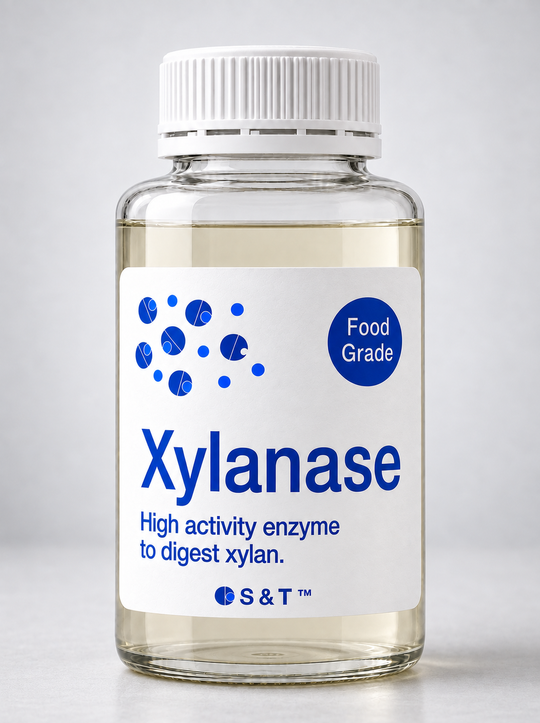 Xylanase