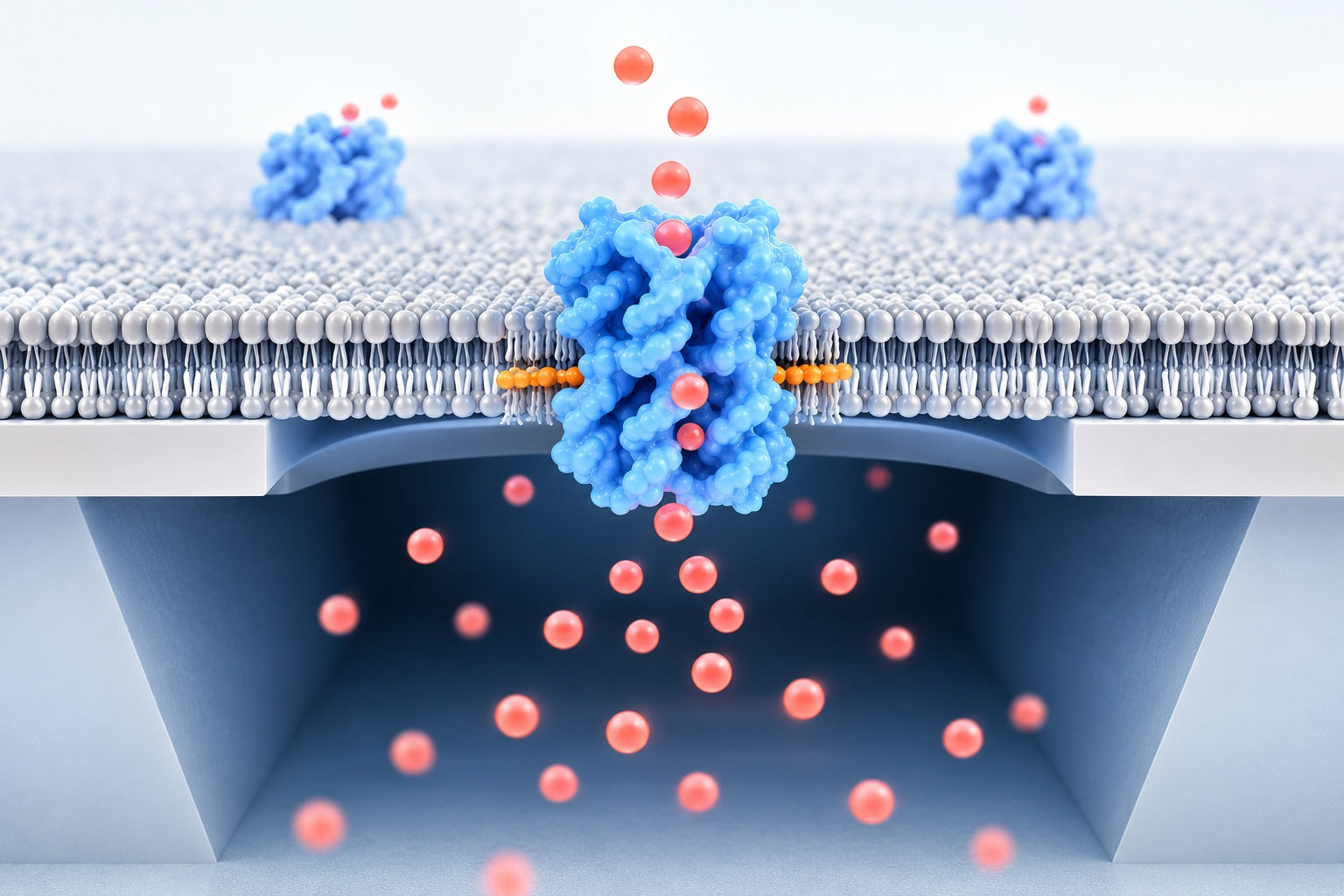 Conceptual illustration for Principles of Small-Molecule Transport through Synthetic Nanopores