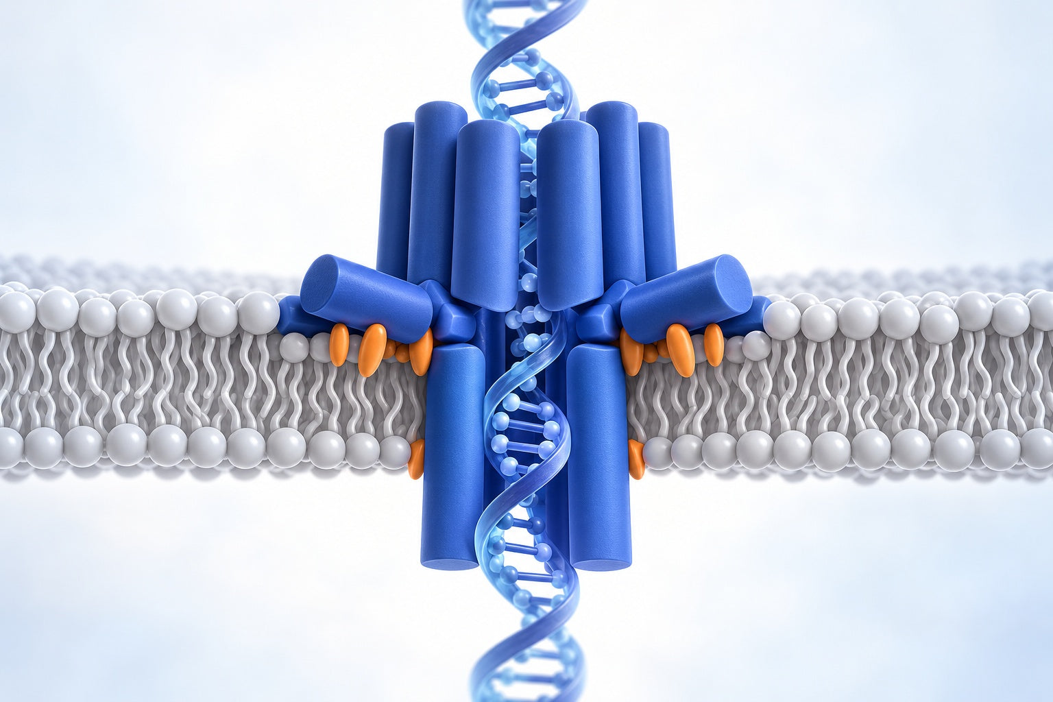 Conceptual illustration for Building membrane nanopores.