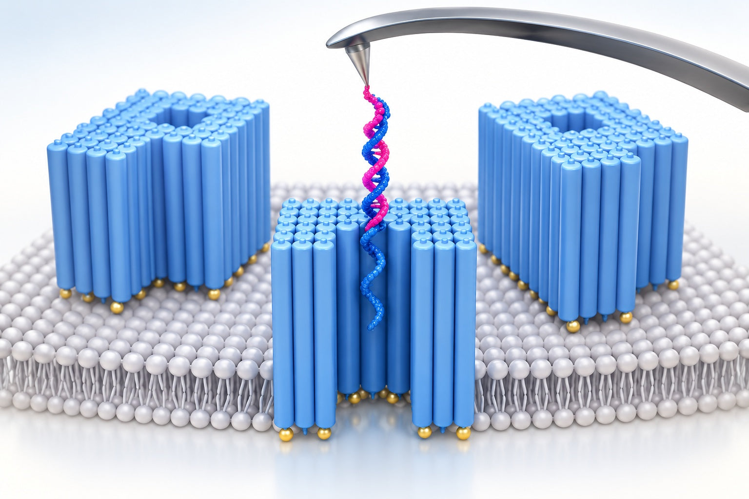 Conceptual illustration for Molecular Recognition in Confined Space Elucidated with DNA Nanopores and Single-Molecule Force Microscopy